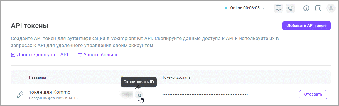 Скопировать ID API токена