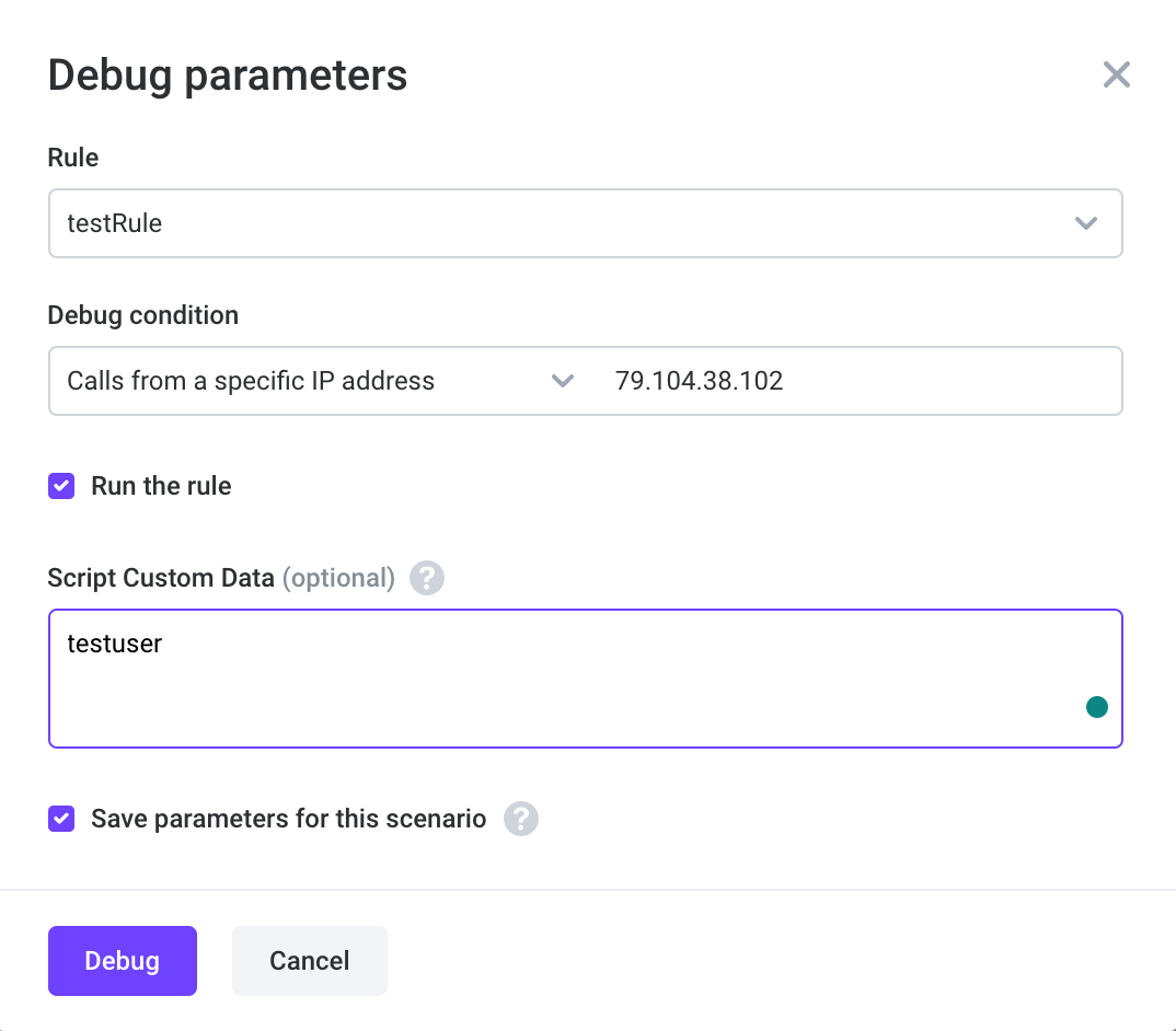 Debug parameters